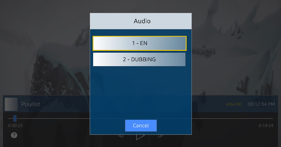 اکانت DUPLEX IPTV